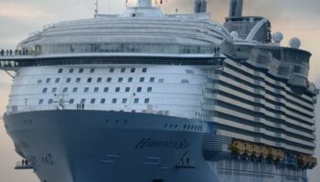 »Harmony of the Seas«: Junge stürzt wohl auf Kreuzfahrtschiff in den Tod