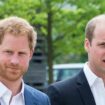 Harry thought he could 'step in' during Royal crisis but William 'drew a line in the sand'