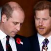 Heartbreaking moment the world realised Harry and William were no longer close