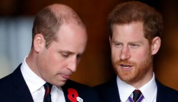 Heartbreaking moment the world realised Harry and William were no longer close