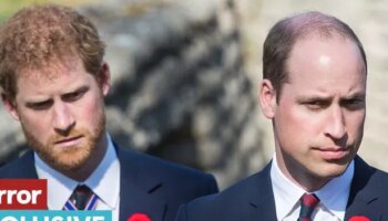 Hidden reason Prince William 'cut ties' with Prince Harry revealed by expert