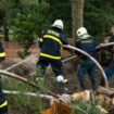 Hochwasser-News live: Polen ruft Katastrophenzustand aus, Staudammbetreiber warnt vor Extremsituation im Kamptal