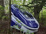 Inside the first Sarco pod suicide: US woman 'almost immediately pressed the button as she lay down and looked up at the trees and sky… then lost consciousness in two minutes and died after five'