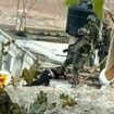 Israeli soldiers are filmed throwing and kicking bodies from a rooftop in West Bank, prompting IDF 'review'