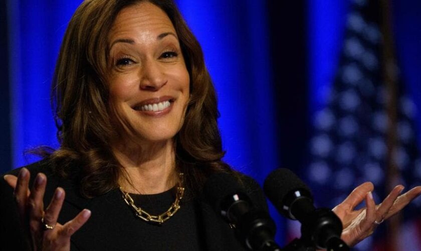 Kamala trata de tranquilizar a los votantes sobre su agenda económica: «Soy una capitalista»