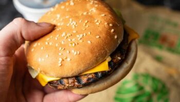 Klimawandel: Sind Veggieburger in Wahrheit Chemiebomben? – Kolumne