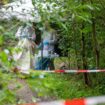 Mitarbeiter der Spurensicherung arbeiten nach dem Leichenfund auf einem abgesperrten Waldweg. Foto: René Schröder/NEWS5/dpa