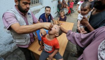 L'OMS annonce le succès de sa première phase de la campagne antipolio à Gaza