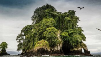 La jungle du Pacifique, perle de nature vierge le long du littoral colombien