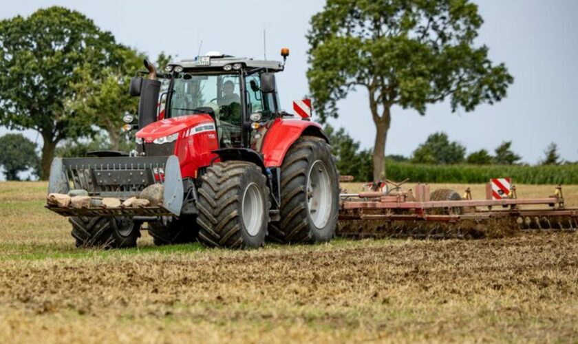 Nach der Agrarministerkonferenz sieht Schleswig-Holsteins Minister Fortschritte (Symbolbild). Foto: Axel Heimken/dpa