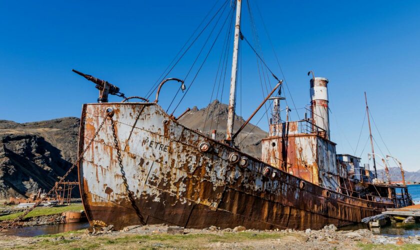 Lost Places in Südgeorgien: Am Ende der Welt: Die verlassene Walfangstation Grytviken