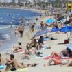 Mallorca: Wegen »Strandsterben« künftig weniger Liegen