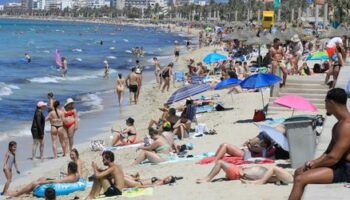 Mallorca: Wegen »Strandsterben« künftig weniger Liegen