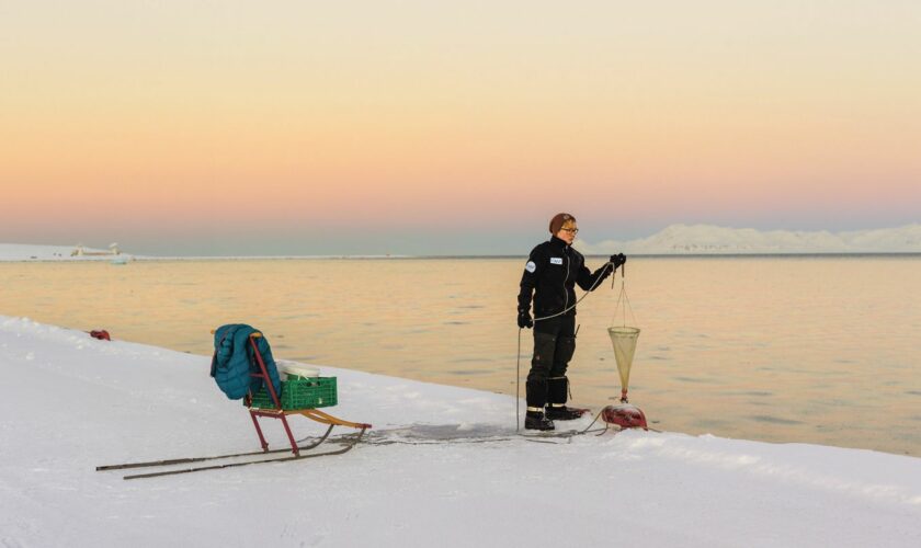 Paolo Verzone: Spitzbergen