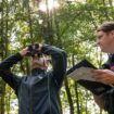 Die Landesinventurleiter für die Waldzustandserhebung, Michael Heym (l) und Wolfgang Stöger (r), schauen Bäume an. Foto: Peter K