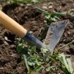 Monty Don warns gardeners 'start digging' now to prepare for cold months ahead