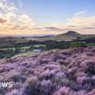 National parkland in public hands 'would help nature'