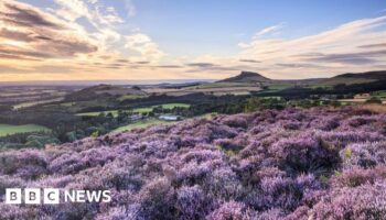 National parkland in public hands 'would help nature'