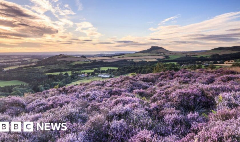 National parkland in public hands 'would help nature'