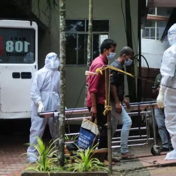 Nipah virus: 'Brain swelling' bat pathogen claims second life with schools in shutdown