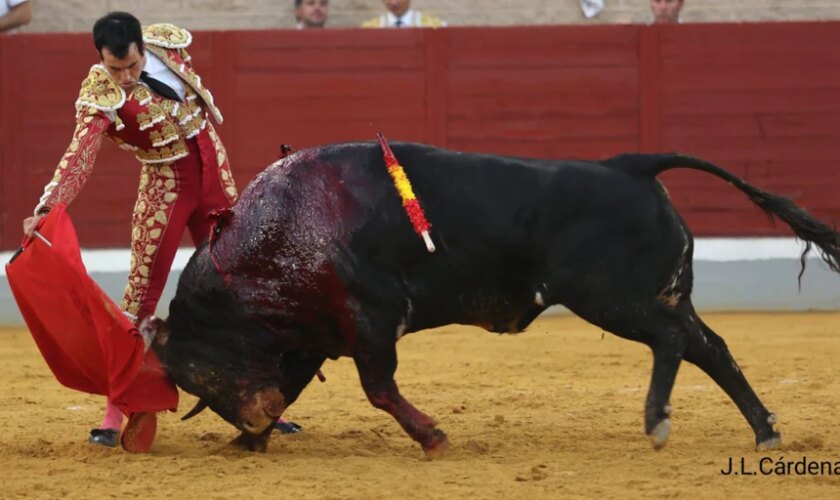 Noche buena, el toro del Conde de la Corte que perseguía a los caballos en Villaseca