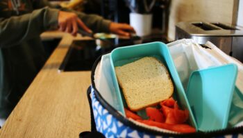 « On ira en justice s’il le faut » : à Beauvais, les élèves souffrant d’allergies alimentaires privés de cantine