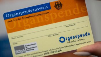 Mit einem Organspendeausweis können Menschen Leben retten - und ihren Angehörigen im Ernstfall eine schwierige Entscheidung abne