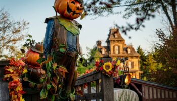 Parcs d'attractions, zoos, fermes : les plus beaux endroits où fêter Halloween en famille cette année