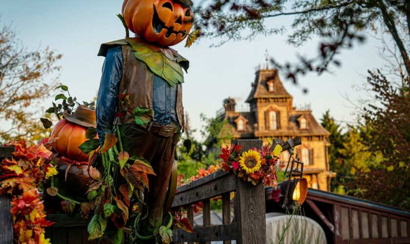 Parcs d'attractions, zoos, fermes : les plus beaux endroits où fêter Halloween en famille cette année