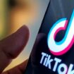 Präsidentschaftswahl in den USA: TikTok löscht Konten von russischen Propagandamedien