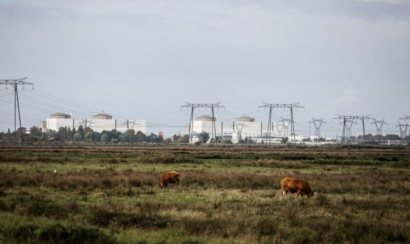 Près de la centrale nucléaire du Blayais, le périmètre de distribution des comprimés d’iode fait polémique