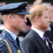 'Prince Harry and Prince William may never be close - but birthday post may end bitterness' - expert