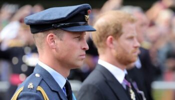 'Prince Harry and Prince William may never be close - but birthday post may end bitterness' - expert