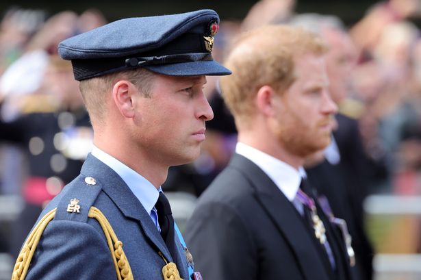 'Prince Harry and Prince William may never be close - but birthday post may end bitterness' - expert