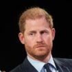 Prince Harry risks raising eyebrows by wading into politics and issuing government plea