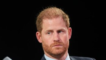 Prince Harry risks raising eyebrows by wading into politics and issuing government plea