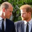 Prince William's cutting comment to brother Harry that broke his heart