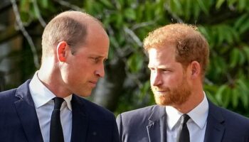 Prince William's cutting comment to brother Harry that broke his heart