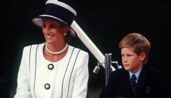 Princess Diana 'always had major concern about Harry – and it's come true' warns expert