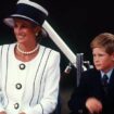 Princess Diana 'always had major concern about Harry – and it's come true' warns expert