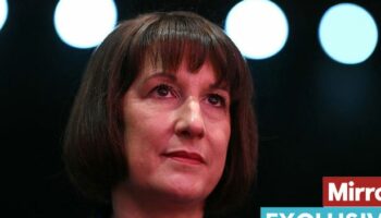 Rachel Reeves declares war on tax dodgers to win back billions for public services