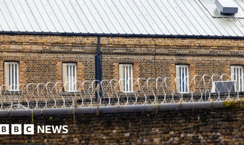 Reoffending prisoner was let out by mistake, BBC told