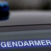 Seine-et-Marne: un homme tue sa compagne et ses deux filles, avant d’agresser des passants