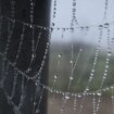 Termómetros bajo cero en Castilla y León con cinco de las ocho temperaturas más bajas del país