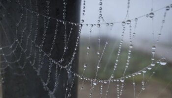 Termómetros bajo cero en Castilla y León con cinco de las ocho temperaturas más bajas del país