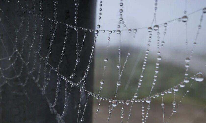 Termómetros bajo cero en Castilla y León con cinco de las ocho temperaturas más bajas del país