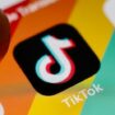 TikTok: Gericht entscheidet über Schicksal der App in den USA