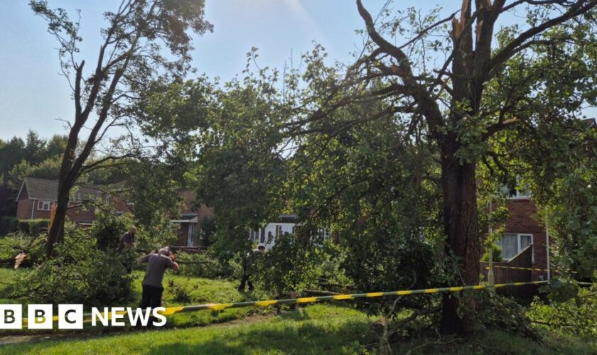 Tornado in Hampshire damages properties and blows over trees