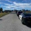 US: Several injured in Georgia school shooting