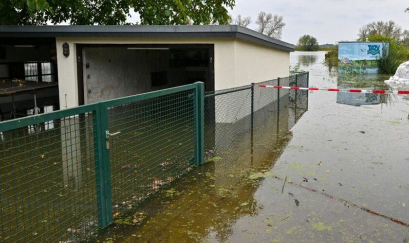 In Eisenhüttenstadt gilt die höchste Hochwasser-Alarmstufe. Foto: Patrick Pleul/dpa